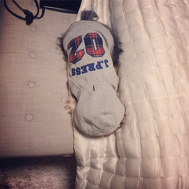 Screen-shot-2014-02-18-at-AM-11.08.21