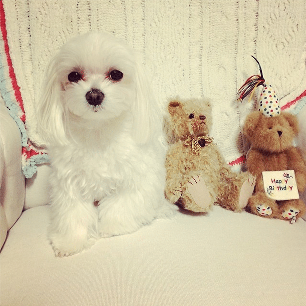 Screen-shot-2014-02-18-at-AM-11.09.01