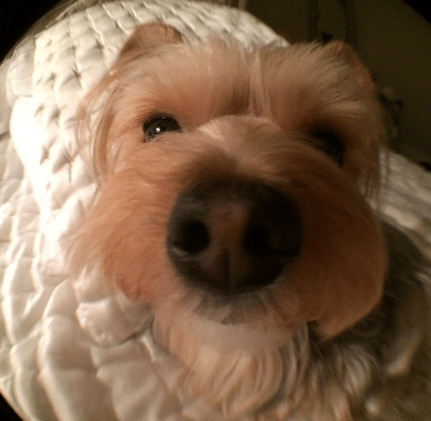 Screen-shot-2014-02-18-at-AM-11.09.13