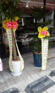 10462889_669762573103579_962488516426560332_n