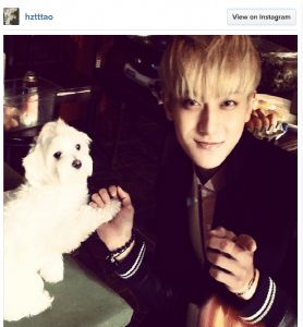 taoooooooooooooo yidim seni