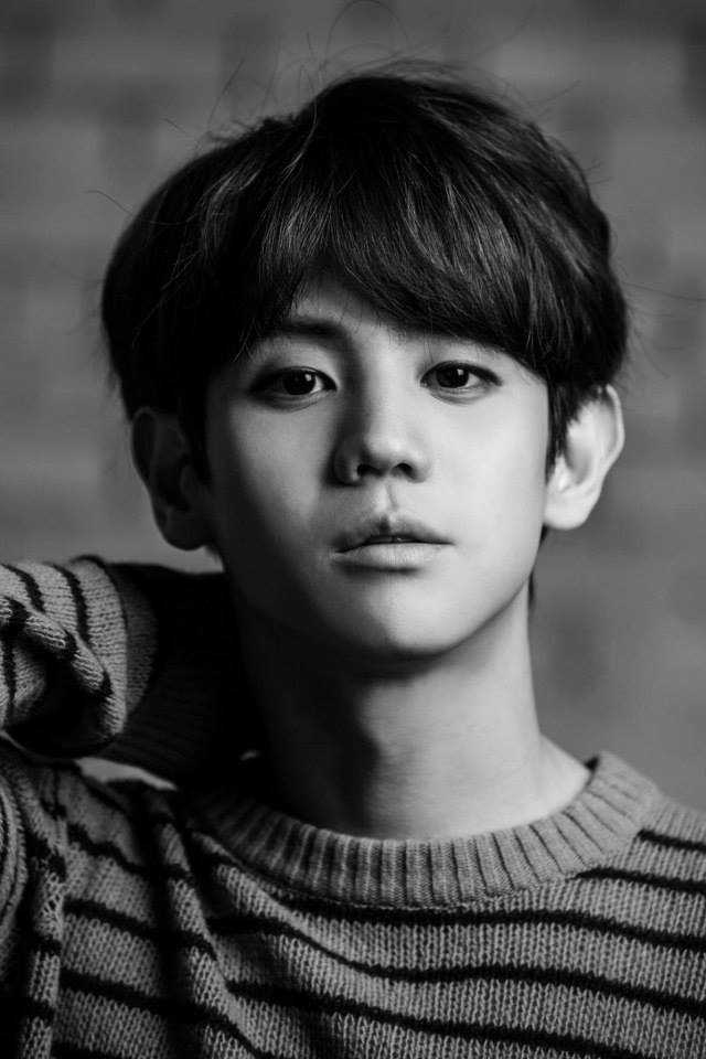 1006103_648013121986072_7427121187634943109_n