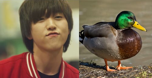 tumblr_inline_ndan3pqCGM1t05yuv (1)