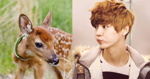 tumblr_inline_ndao0lLXH01t05yuv