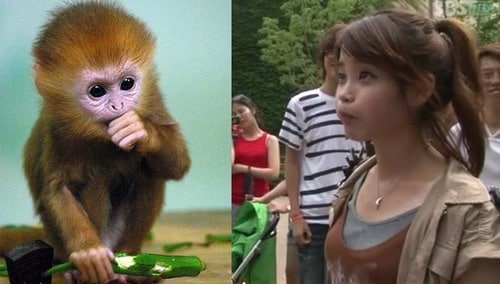 tumblr_inline_ndaoepIcRs1t05yuv