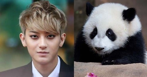 tumblr_inline_ndapcfeM9d1t05yuv