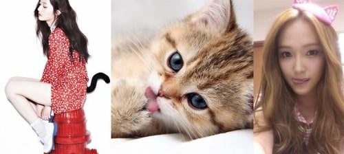 tumblr_inline_ndaprprM5Z1t05yuv