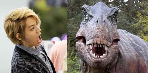 tumblr_inline_ndaq81jutM1t05yuv