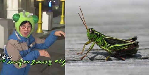 tumblr_inline_ndaqhggSW61t05yuv