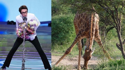 tumblr_inline_ndaqsyQwJ11t05yuv