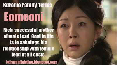 Eomeoni_kdrama_family_terms_kdrama_fighting