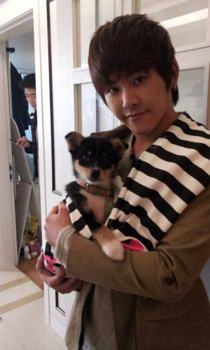 Hoya_puppy2