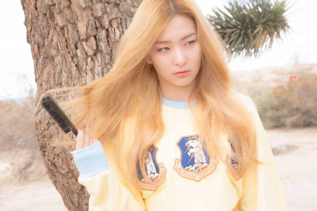 Red Velvet Ice Cream Cake Teaser Seulgi Suexo 19