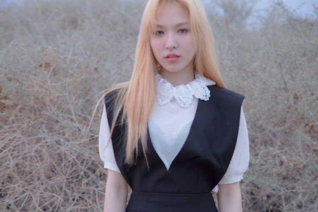 Red Velvet Ice Cream Cake Teaser Wendy Suexo 25