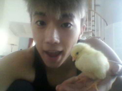 Wooyoung-and-chick