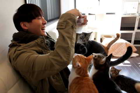 junsu-and-cats3