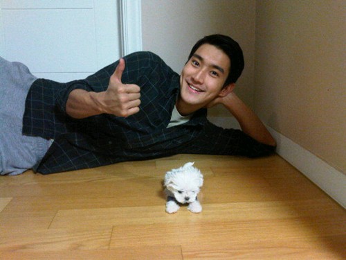 siwon