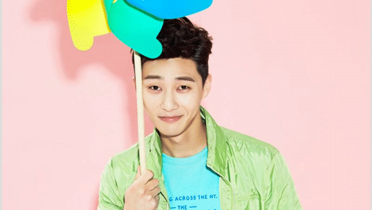 Park-Seo-Joon1-540x305