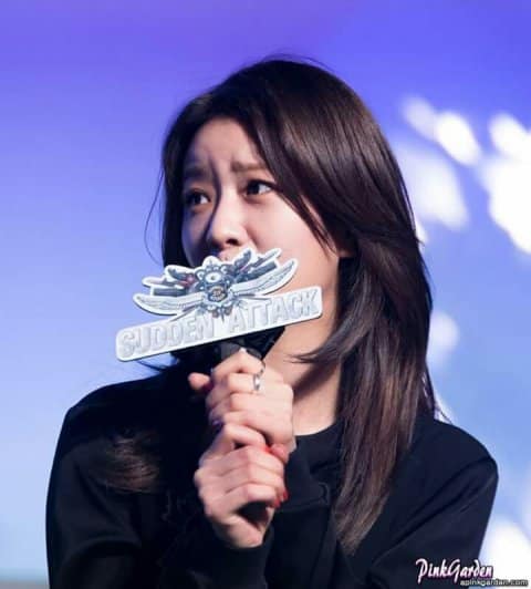 natepann940743546.tmp