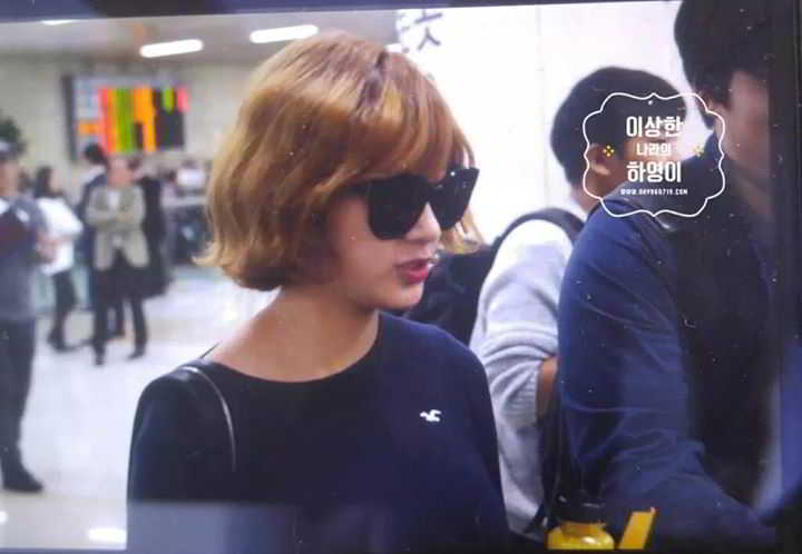 11231285_895907997159503_3863009479570752291_o