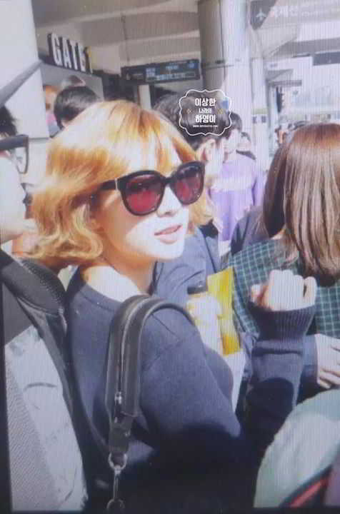 12087789_895908117159491_3634149731536039587_o