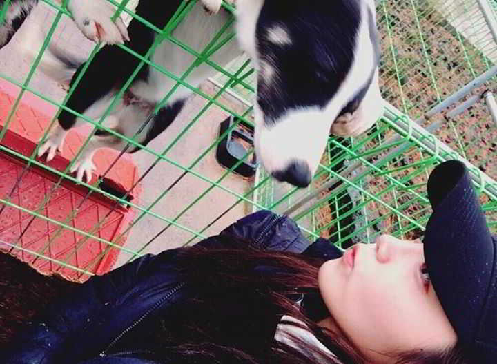 12239521_905559366229772_8382404052805998240_n