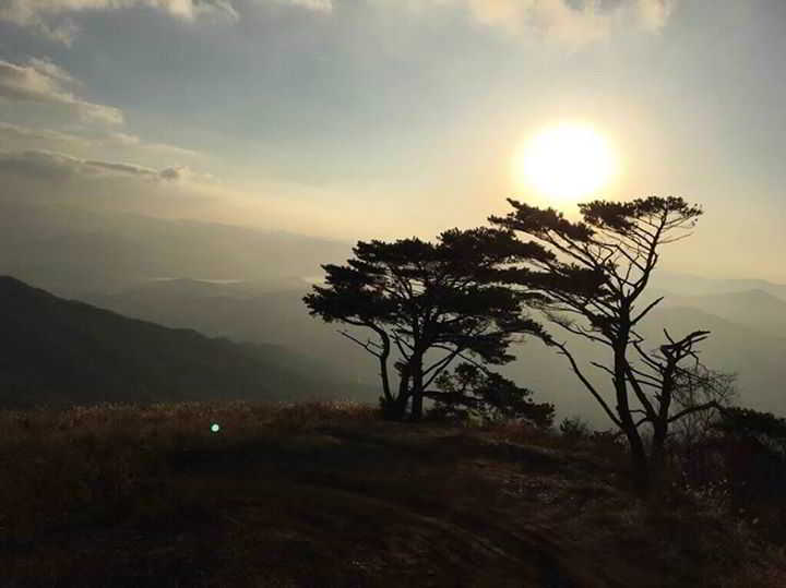 12243133_905559036229805_1915533649475955327_n