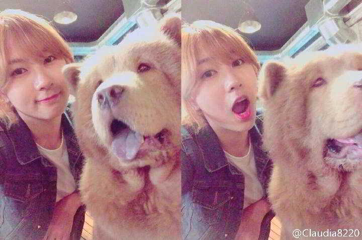 12243163_905565696229139_3204918676214722186_n