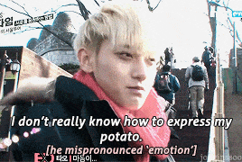 tumblr_inline_no9avid4ip1tqnbgm_500