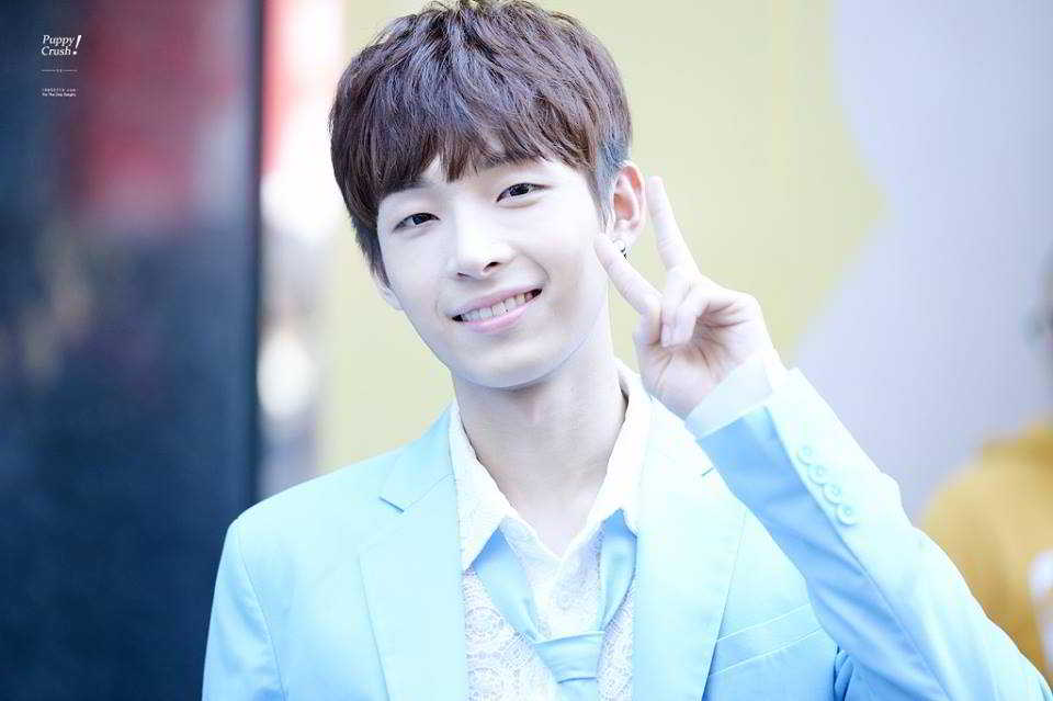 12992318_1174025362616640_171292285_n