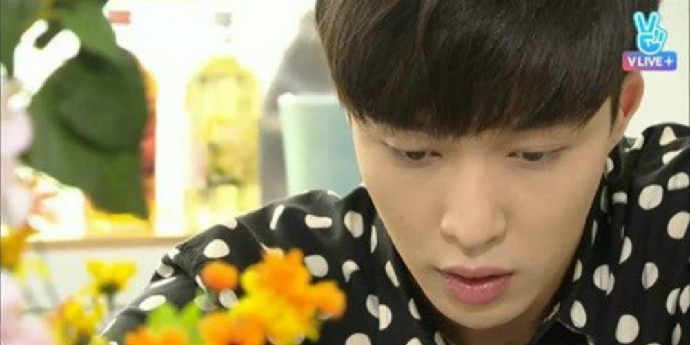 Lay_1465329315_af_org