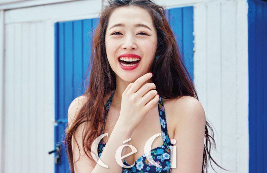 Sulli_1465956066_s1