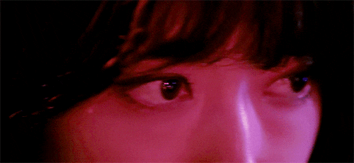 tumblr_o82jutXKK01sq7hzoo1_500