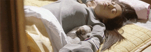 tumblr_o95kheIYoB1ugbqo0o1_500