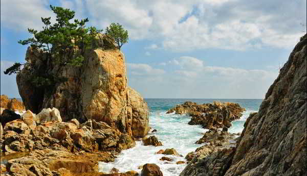 7659a396e739fc2e4a2a6996d47abed7-e1433236905288