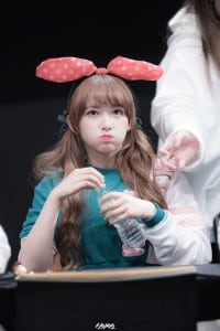 chengxiao2