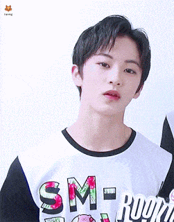 2744bc284c067d175a025422293febef