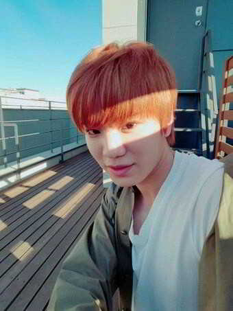 92d37b24c63d45c7f22285d156bb4df9