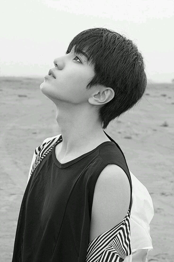 ceda0b13acd01d7e13d06241dcbdaeb8