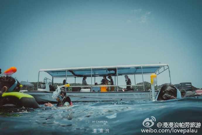 dc1997bagw1f796qzww3sj20zk0nqgnx