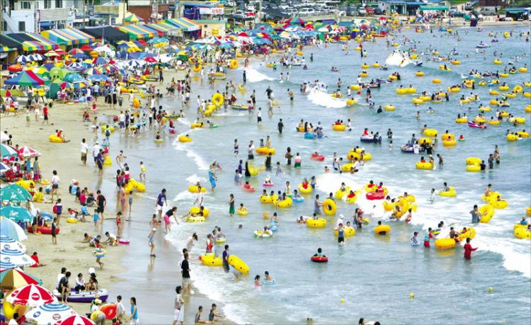 or_2_1308229113_0_0-1