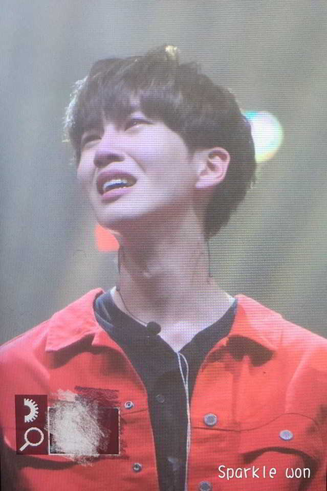 14670744_1180147265401624_7933622733873518584_n