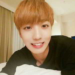 13732275_279908162374357_761570696_n