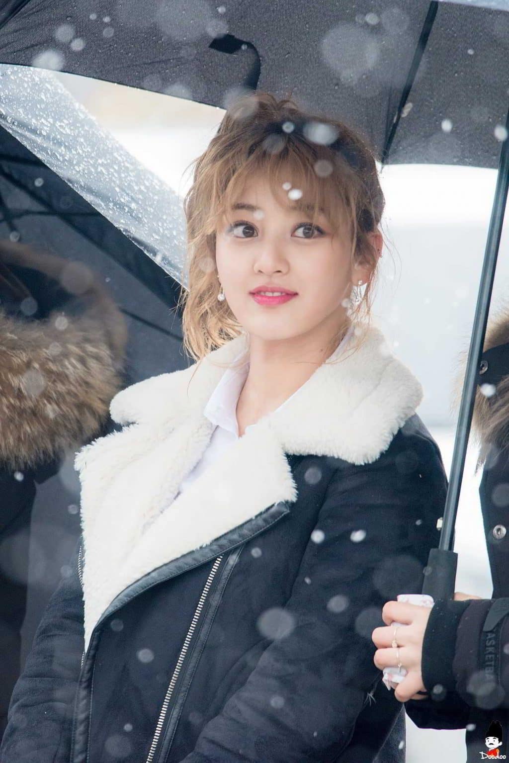 5-jihyo