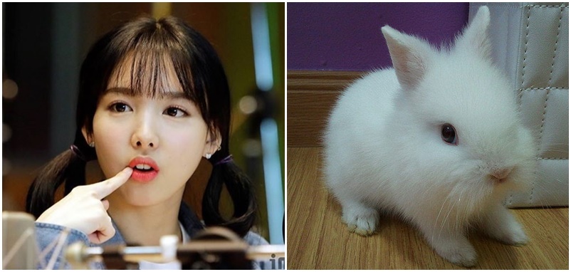 nayeon-rabbit