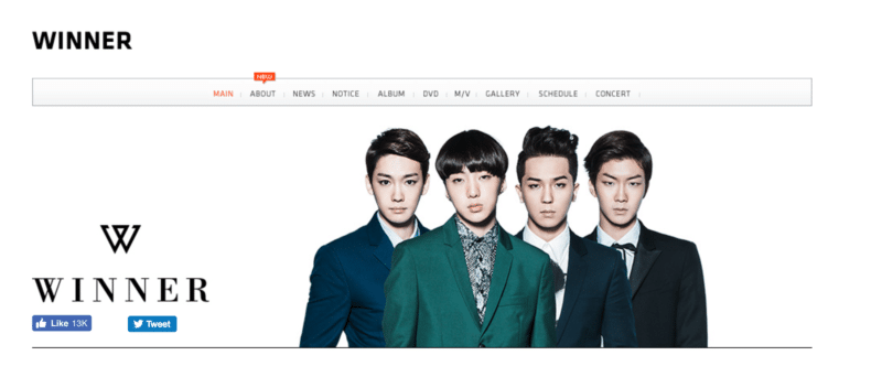 winner-official-site-800x342