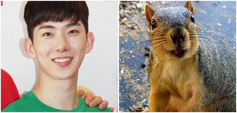 jokwon-squirrel-1