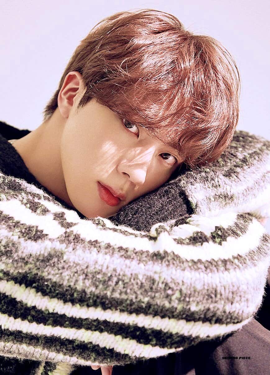 BTS Üyeleri ve ARMY'ler, 